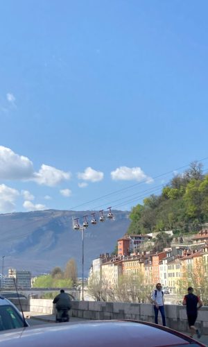 IMG_0513
