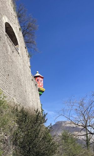 IMG_0570