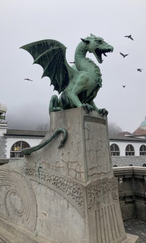 IMG_8322
